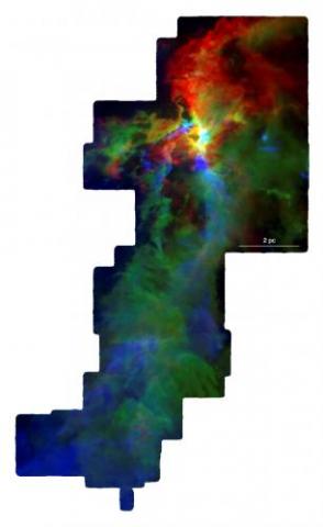 CARMA-NRO Orion Survey